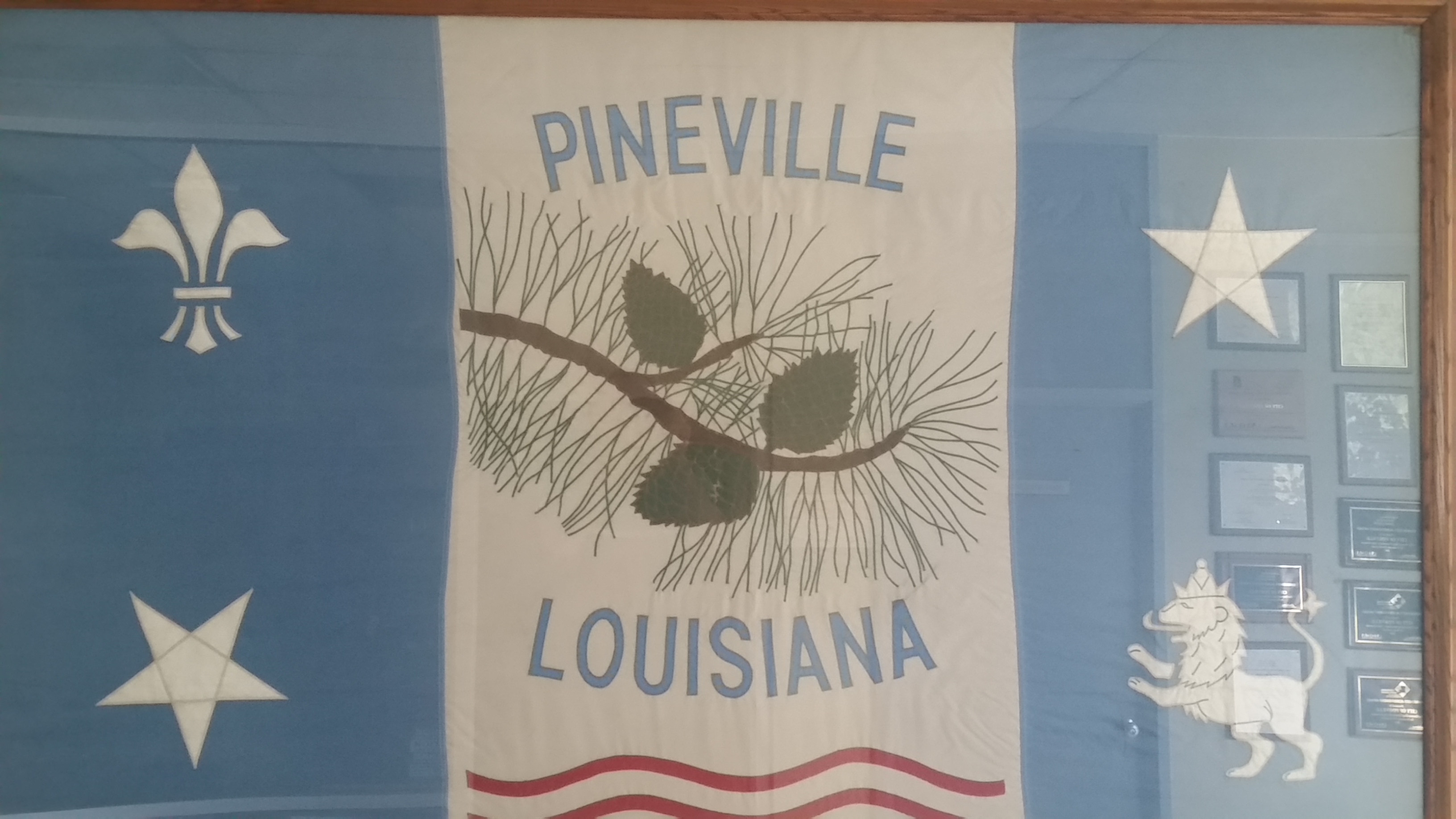 City olf Pineville Flag