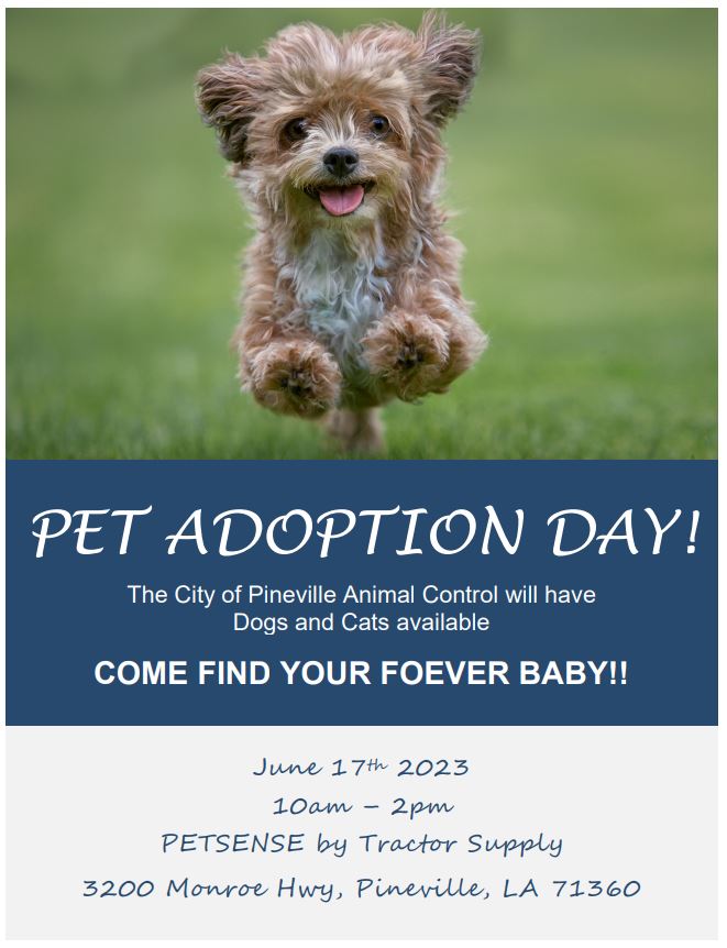 Pet Adoption Day - June 17, 2023
