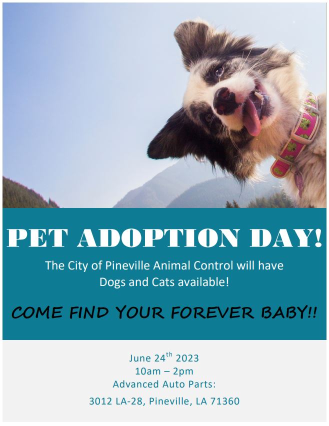 Pet Adoption Day - June 24, 2023