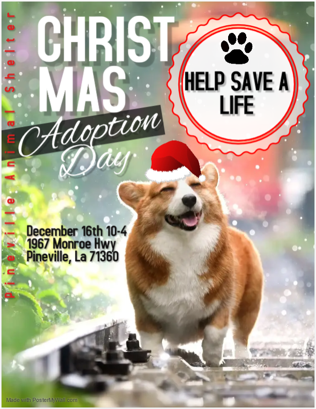 Pet Adoption - Dec 16th